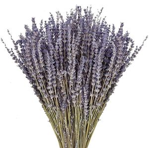 Bundle dried lavender